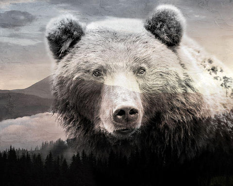 Bear Mountain White Modern Wood Framed Art Print with Double Matting by Allen, Kimberly