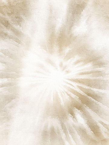 Sun Glare White Modern Wood Framed Art Print with Double Matting by Allen, Kimberly