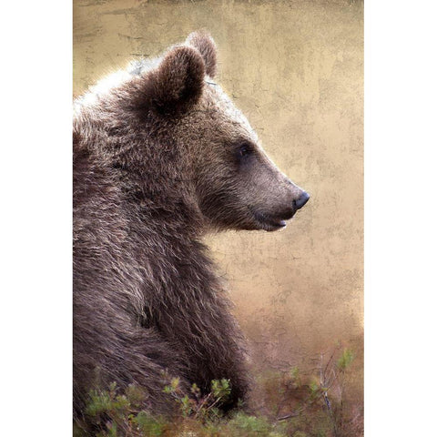 Watch Gold Ornate Wood Framed Art Print with Double Matting by Allen, Kimberly
