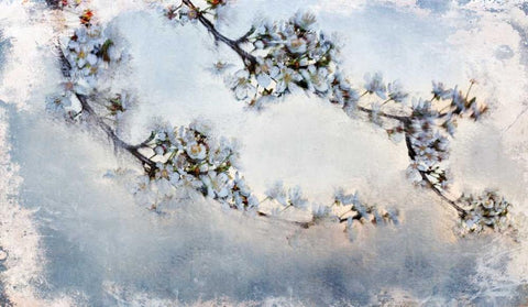 Magnolia Branch Black Ornate Wood Framed Art Print with Double Matting by Allen, Kimberly