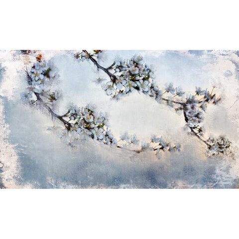 Magnolia Branch Black Modern Wood Framed Art Print by Allen, Kimberly