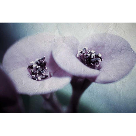 My View White Modern Wood Framed Art Print by Allen, Kimberly