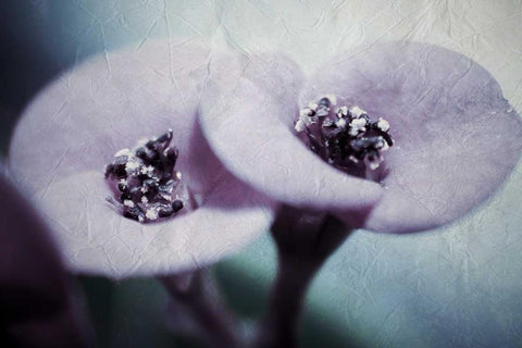 My View White Modern Wood Framed Art Print with Double Matting by Allen, Kimberly