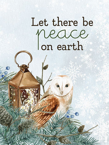 Peace on Earth Owl Black Ornate Wood Framed Art Print with Double Matting by Allen, Kimberly