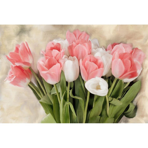 Pink And White Tulips Black Modern Wood Framed Art Print by Allen, Kimberly