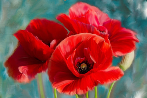 Poppies Blue Black Ornate Wood Framed Art Print with Double Matting by Allen, Kimberly