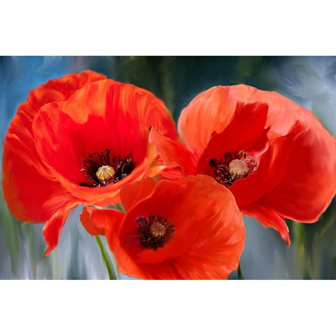 Poppy Trio Gold Ornate Wood Framed Art Print with Double Matting by Allen, Kimberly