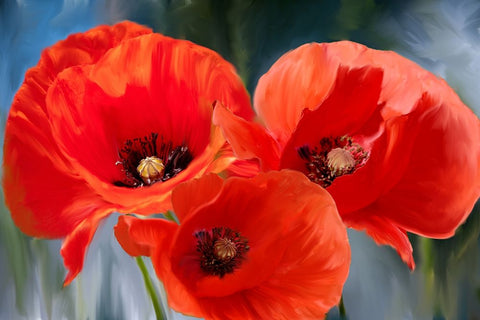 Poppy Trio Black Ornate Wood Framed Art Print with Double Matting by Allen, Kimberly