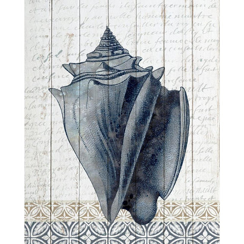 Shells 2 Black Modern Wood Framed Art Print by Allen, Kimberly