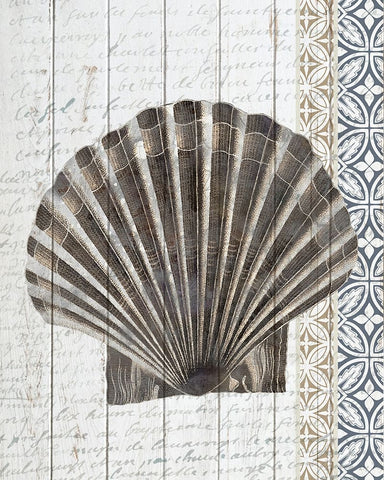Shells 3 Black Ornate Wood Framed Art Print with Double Matting by Allen, Kimberly