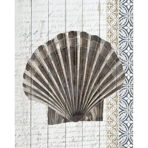 Shells 3 White Modern Wood Framed Art Print by Allen, Kimberly
