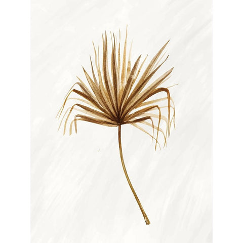 Palmetto 1 Black Modern Wood Framed Art Print with Double Matting by Allen, Kimberly