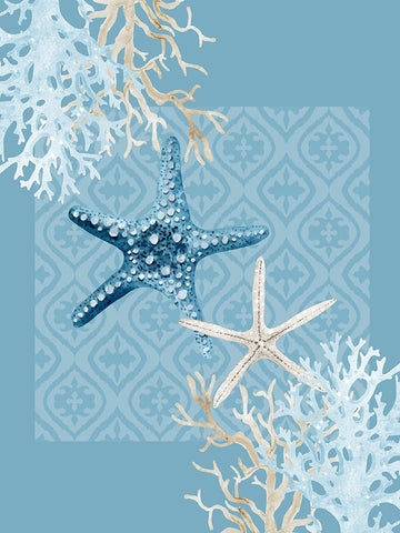 Starfish Tours White Modern Wood Framed Art Print with Double Matting by Allen, Kimberly