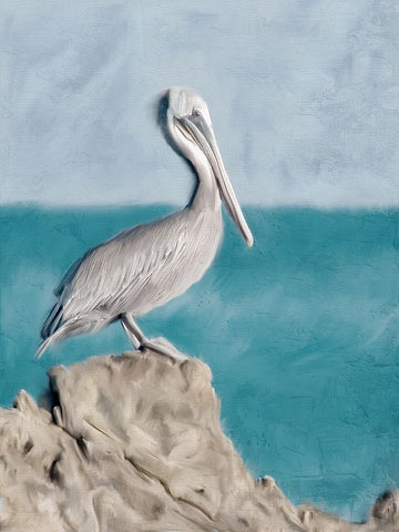 Pelican Perch Black Modern Wood Framed Art Print by Allen, Kimberly
