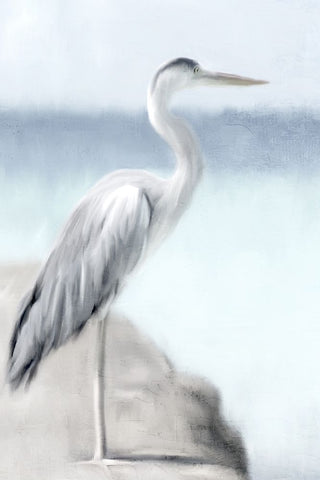 Herons View Black Ornate Wood Framed Art Print with Double Matting by Allen, Kimberly