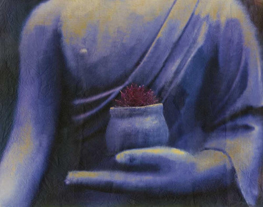 Image Only
