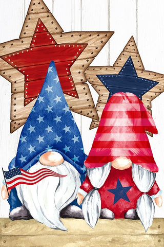 Patriotic Gnomes White Modern Wood Framed Art Print with Double Matting by Allen, Kimberly