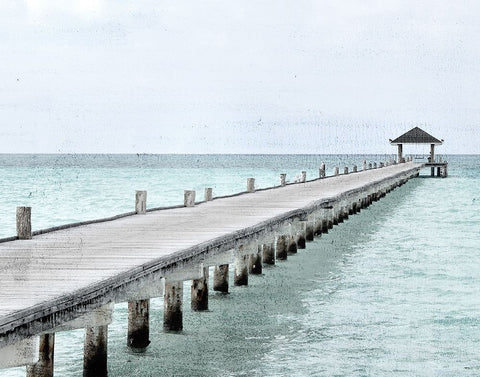White Pier Black Modern Wood Framed Art Print by Allen, Kimberly
