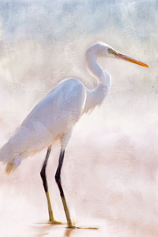 White Heron Black Modern Wood Framed Art Print by Allen, Kimberly