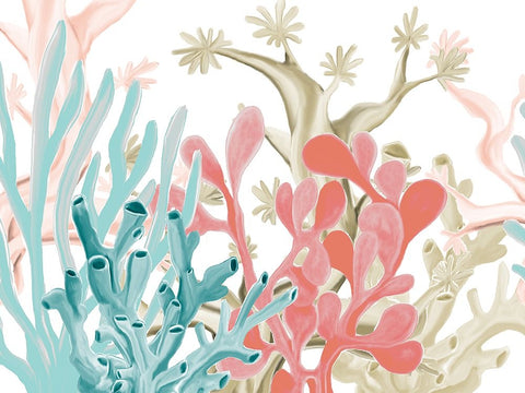 Coral Love White Modern Wood Framed Art Print with Double Matting by Allen, Kimberly