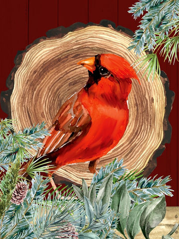 Cardinal Wood Round Black Modern Wood Framed Art Print by Allen, Kimberly