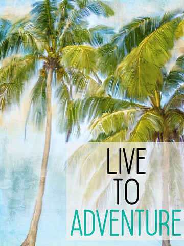 Live To Adventure Black Modern Wood Framed Art Print by Allen, Kimberly