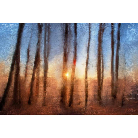 Sunset Black Modern Wood Framed Art Print with Double Matting by Allen, Kimberly