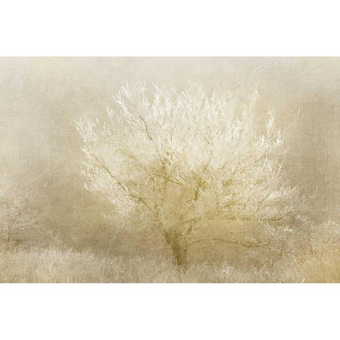 Dreaming Tree White Modern Wood Framed Art Print by Allen, Kimberly