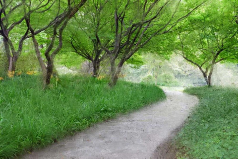 Along the Path White Modern Wood Framed Art Print with Double Matting by Allen, Kimberly