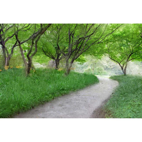 Along the Path Black Modern Wood Framed Art Print by Allen, Kimberly