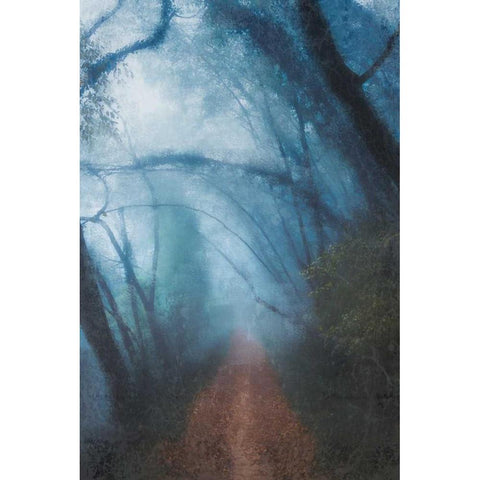 Forest Blues White Modern Wood Framed Art Print by Allen, Kimberly