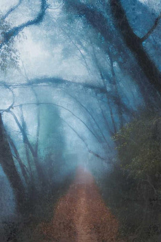 Forest Blues White Modern Wood Framed Art Print with Double Matting by Allen, Kimberly