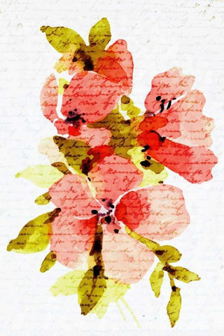 Watercolor Floral 2 White Modern Wood Framed Art Print with Double Matting by Allen, Kimberly