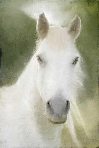 Calm Black Ornate Wood Framed Art Print with Double Matting by Allen, Kimberly