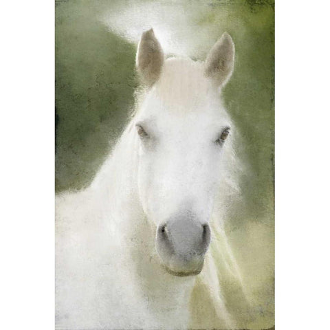 Calm Gold Ornate Wood Framed Art Print with Double Matting by Allen, Kimberly