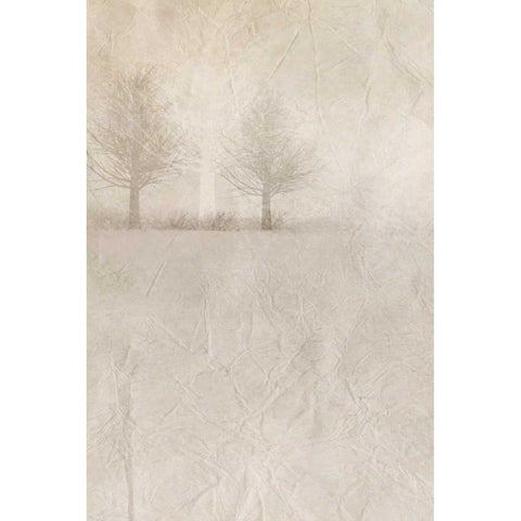 Misty Dawn 1 White Modern Wood Framed Art Print by Allen, Kimberly