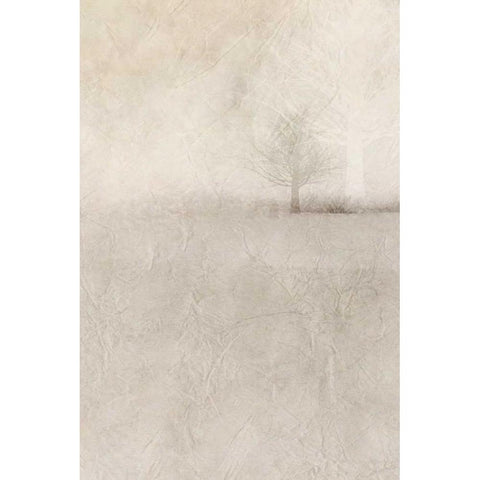 Misty Dawn 2 White Modern Wood Framed Art Print by Allen, Kimberly