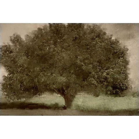 Under the Tree White Modern Wood Framed Art Print by Allen, Kimberly