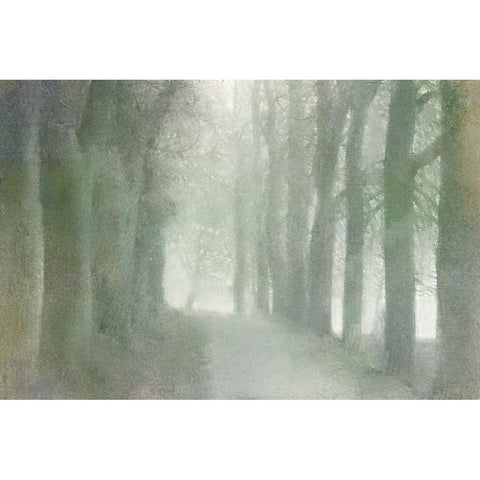 Natural Walkway White Modern Wood Framed Art Print by Allen, Kimberly