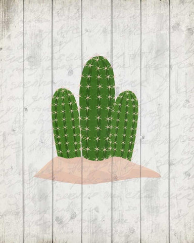 Cactus 2 White Modern Wood Framed Art Print with Double Matting by Allen, Kimberly