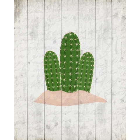 Cactus 2 Black Modern Wood Framed Art Print with Double Matting by Allen, Kimberly