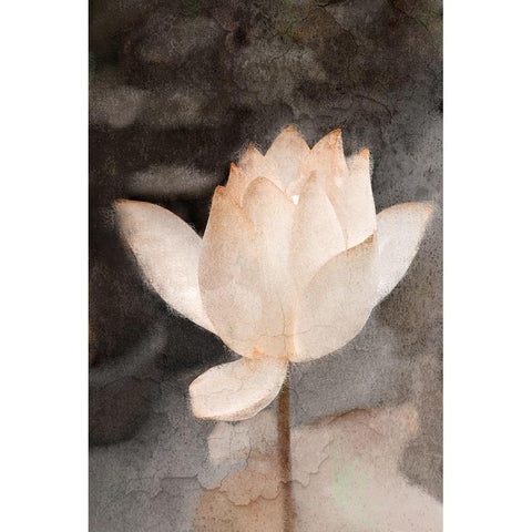Lotus Bloom White Modern Wood Framed Art Print by Kimberly, Allen