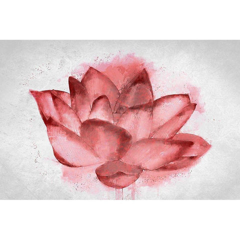 Lotus Blossom White Modern Wood Framed Art Print by Kimberly, Allen