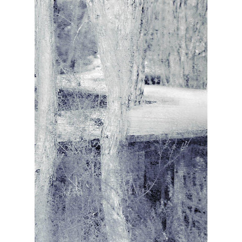 Through the Trees A Gold Ornate Wood Framed Art Print with Double Matting by Kimberly, Allen