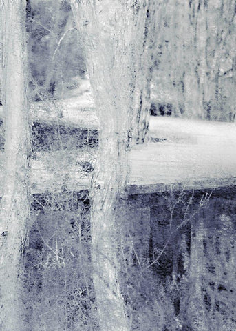 Through the Trees A Black Ornate Wood Framed Art Print with Double Matting by Kimberly, Allen