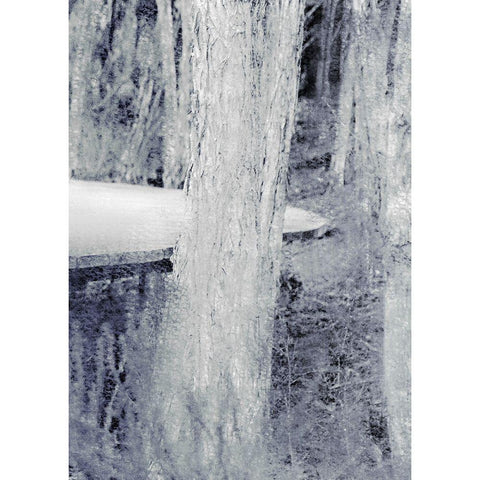 Through the Trees B White Modern Wood Framed Art Print by Kimberly, Allen