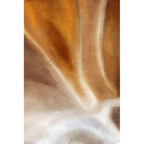Copper Wave Gold Ornate Wood Framed Art Print with Double Matting by Kimberly, Allen