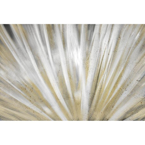 Burst of Day Black Modern Wood Framed Art Print with Double Matting by Kimberly, Allen