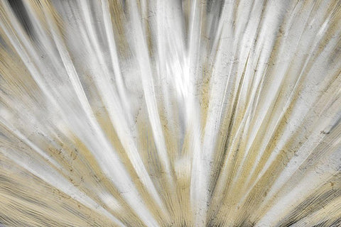 Burst of Day White Modern Wood Framed Art Print with Double Matting by Kimberly, Allen