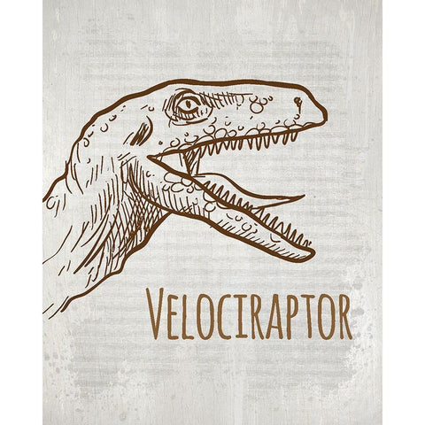 Dinosaur 4 Black Modern Wood Framed Art Print with Double Matting by Kimberly, Allen
